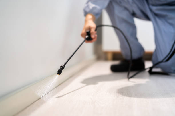 Licensed Fumigation Services service in Valle Vista, CA - Nex Pest Control