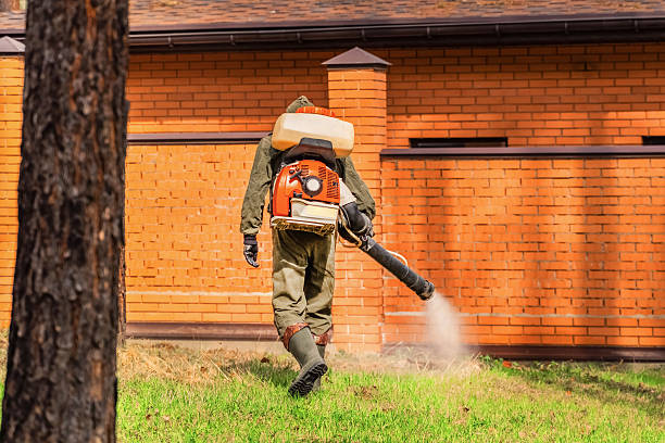 Trusted Fumigation Services service in Valle Vista, CA - Nex Pest Control